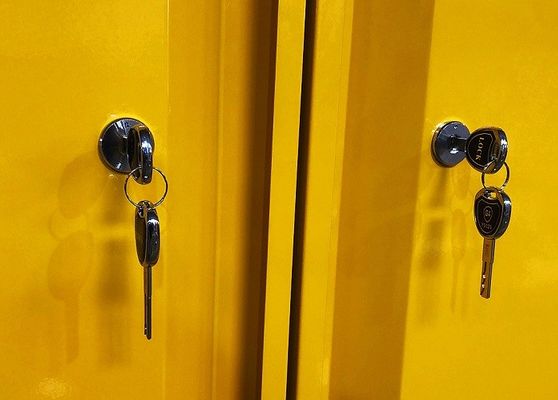 खरीदें खतरनाक सामग्री भंडारण के लिए 109x46x123CM, 109x46x165CM, और 109x86x165CM आकार के साथ रासायनिक भंडारण कैबिनेट ऑनलाइन निर्माण